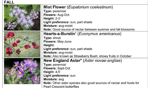 Sample of my handout on favorite Kentucky native plants