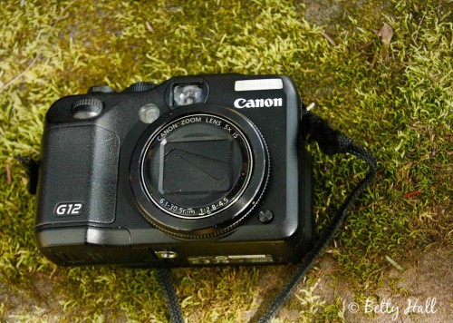 Canon G12 camera