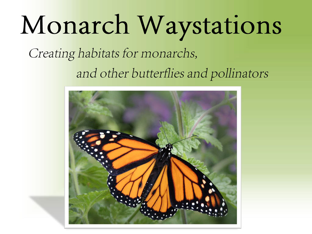 Monarch Waystation 
