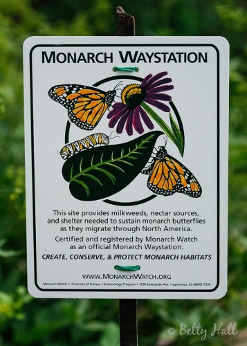 Monarch Waystation sign